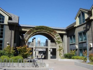 new berkeley haas MBA