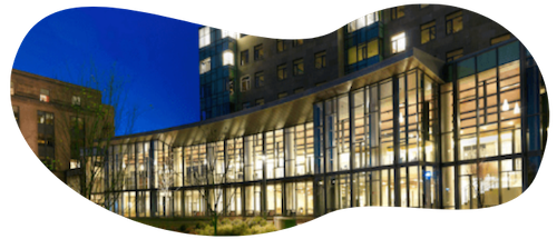 MIT sloan